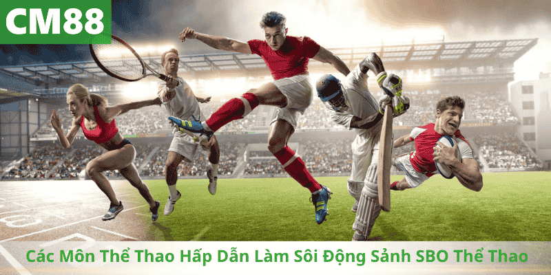 Các Môn Thể Thao Hấp Dẫn Làm Sôi Động Sảnh SBO Thể Thao