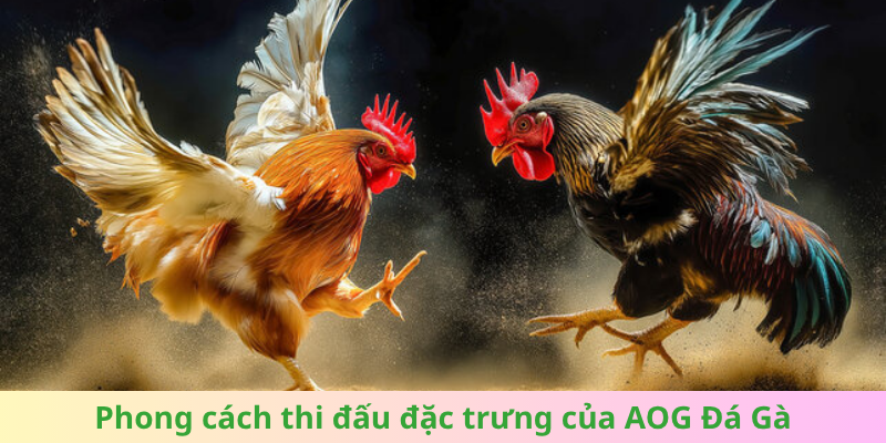 Phong cách thi đấu đặc trưng của AOG Đá Gà